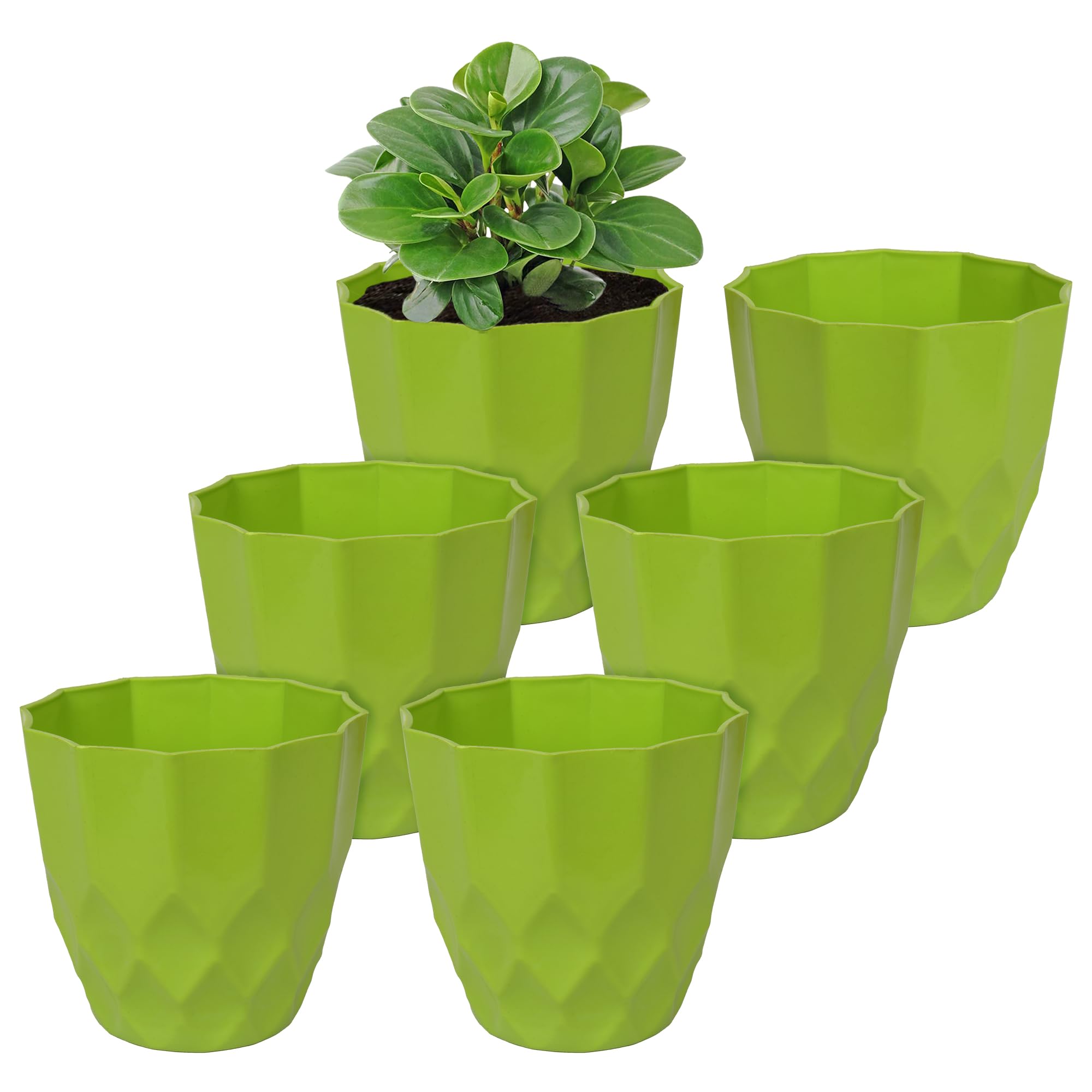 See full amazon price history chart for Kuber Industries Flower Pot | Flower Planter Pots for Indoor | Flower Pots for Outdoor | Pot for Garden & Balcony Flowering | Flower Plants Pot | Barfi Flower Pot | 6 Inch | Pack of 6 | Green Kuber Industries Flower Pot | Flower Planter Pots for Indoor | Flower Pots for Outdoor | Pot for Garden & Balcony Flowering | Flower Plants Pot | Barfi Flower Pot | 6 Inch | Pack of 6 | Green (B0CKN96MBM) Amazon Price History, Amazon Price Tracker