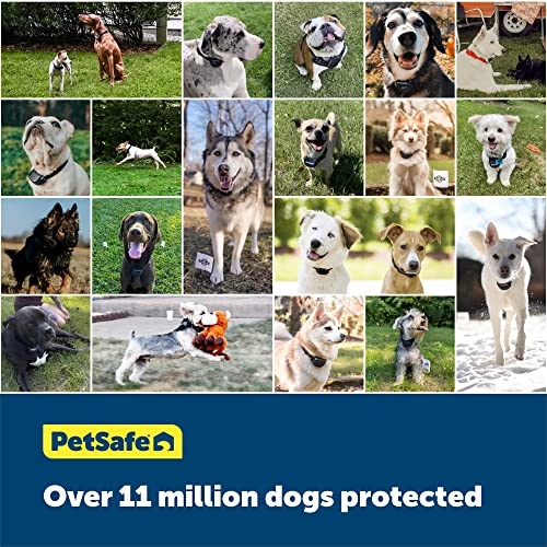 PetSafe Begrenzungsdraht, 4,5 m Spule mit massivem Kern, 20-Gauge-Kupferdraht, In-Ground Pet Fence Draht, Farben können variieren – von der Muttergesellschaft der Marke Invisible Fence