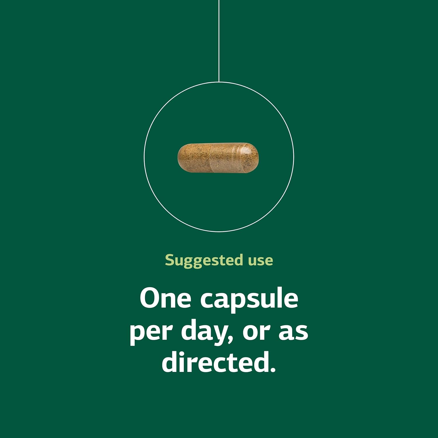 Standard Process Ginkgo Synergy - Brain Health Support Supplement - Supplement with Ginkgo Biloba Extract, Organic Buckwheat Powder & Gotu Kola to Support Antioxidant Activity - 40 Capsules - Image 5