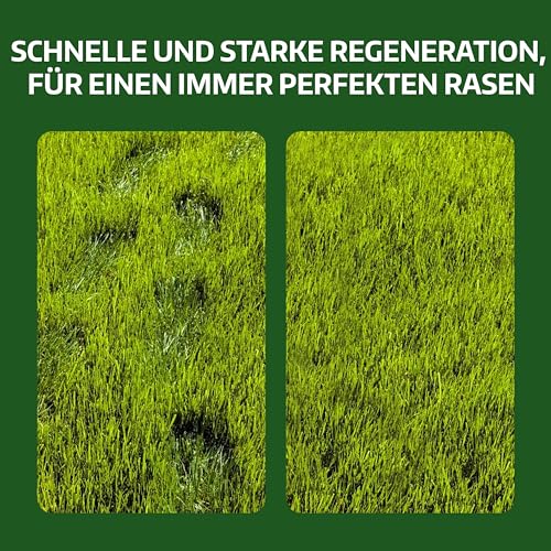 LERAVA® Rasensamen Bermudagras [Extrem Trittfest] - 50m² - Trockenheitsresistente und schnellwachsende Samen - Ideal für mediterrane und küstennahe Rasenflächen - Verbraucht 20% weniger Wasser - 500g