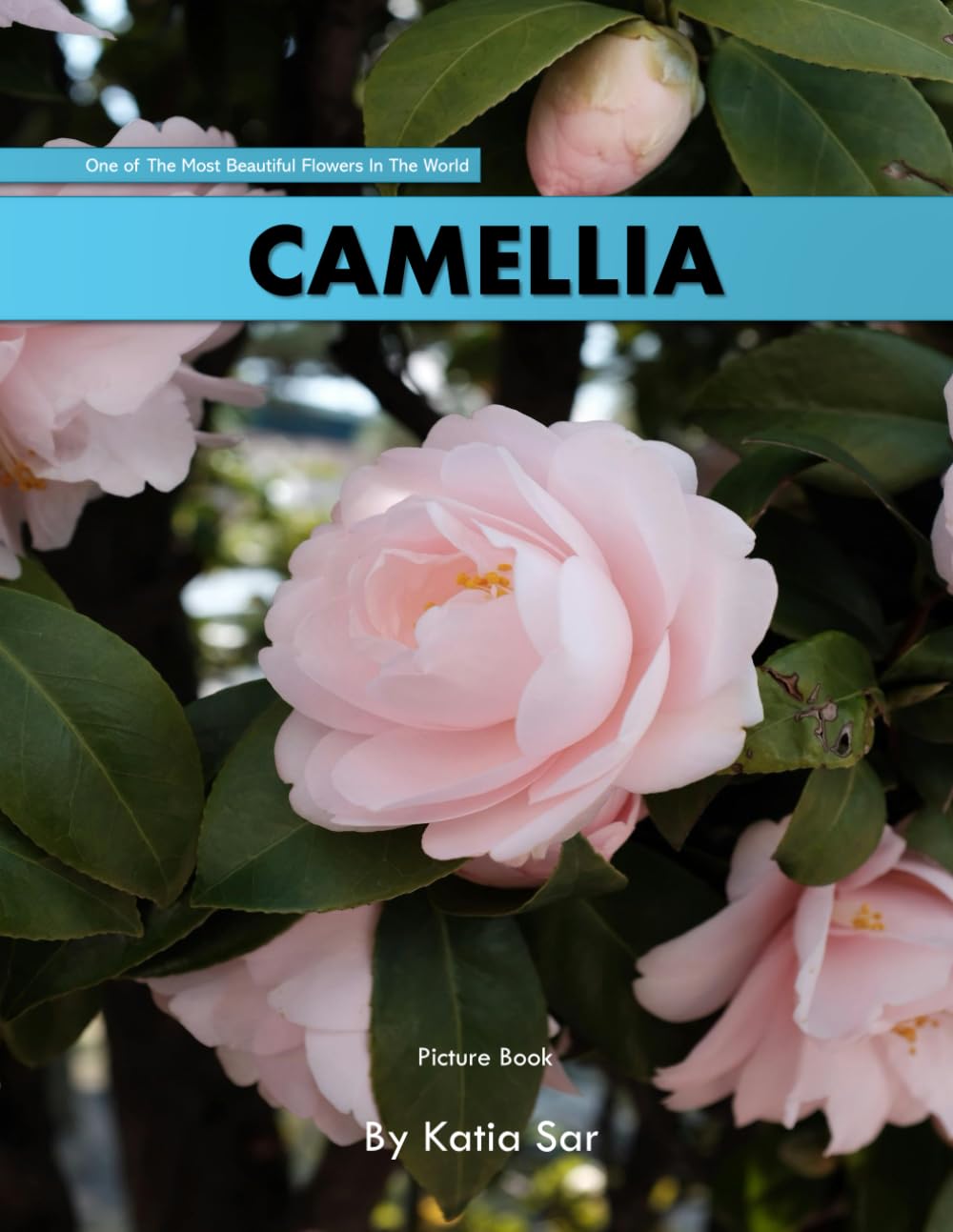 Camellia: A perfect Coffee Table Picture Book - For Flower Enthusiasts and Gardeners .