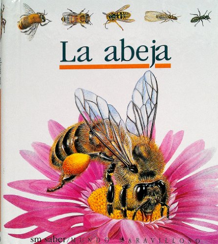 La abeja (Coleccion ""Mundo Maravilloso""/First... [Spanish] 8434840367 Book Cover