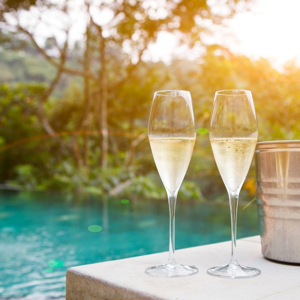 Amazon.co.jp: 【上品な果実味と伸びやかな酸を備えたエレガント