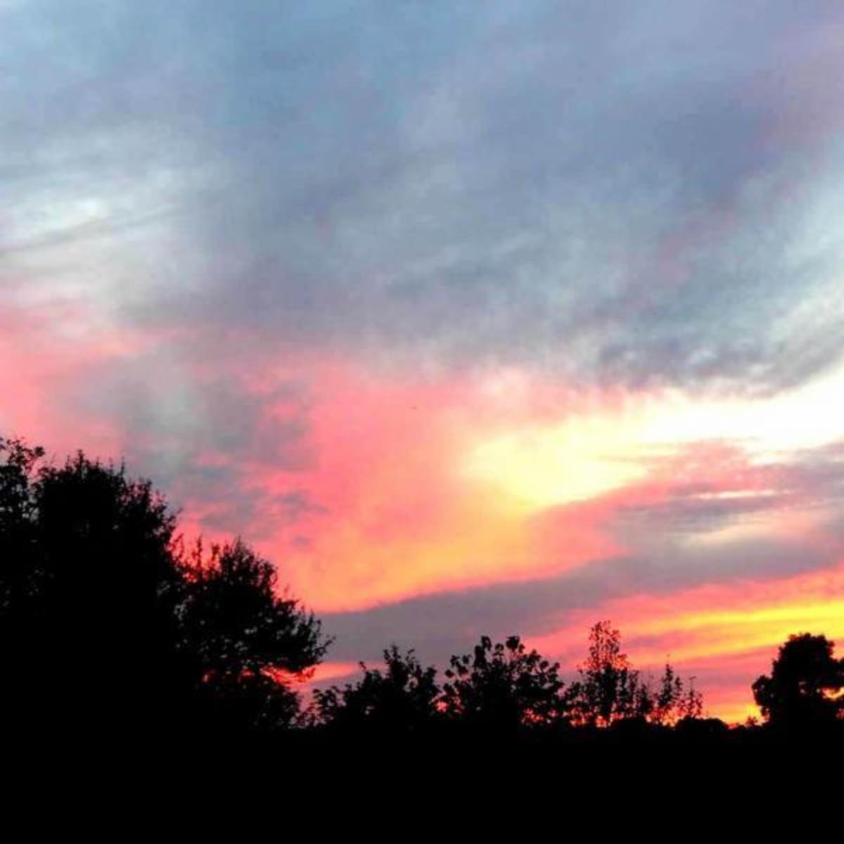 Anthony's Studying Music