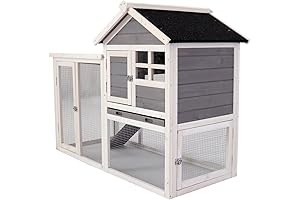 Outdoor Wooden Chicken Coop with Nesting Box