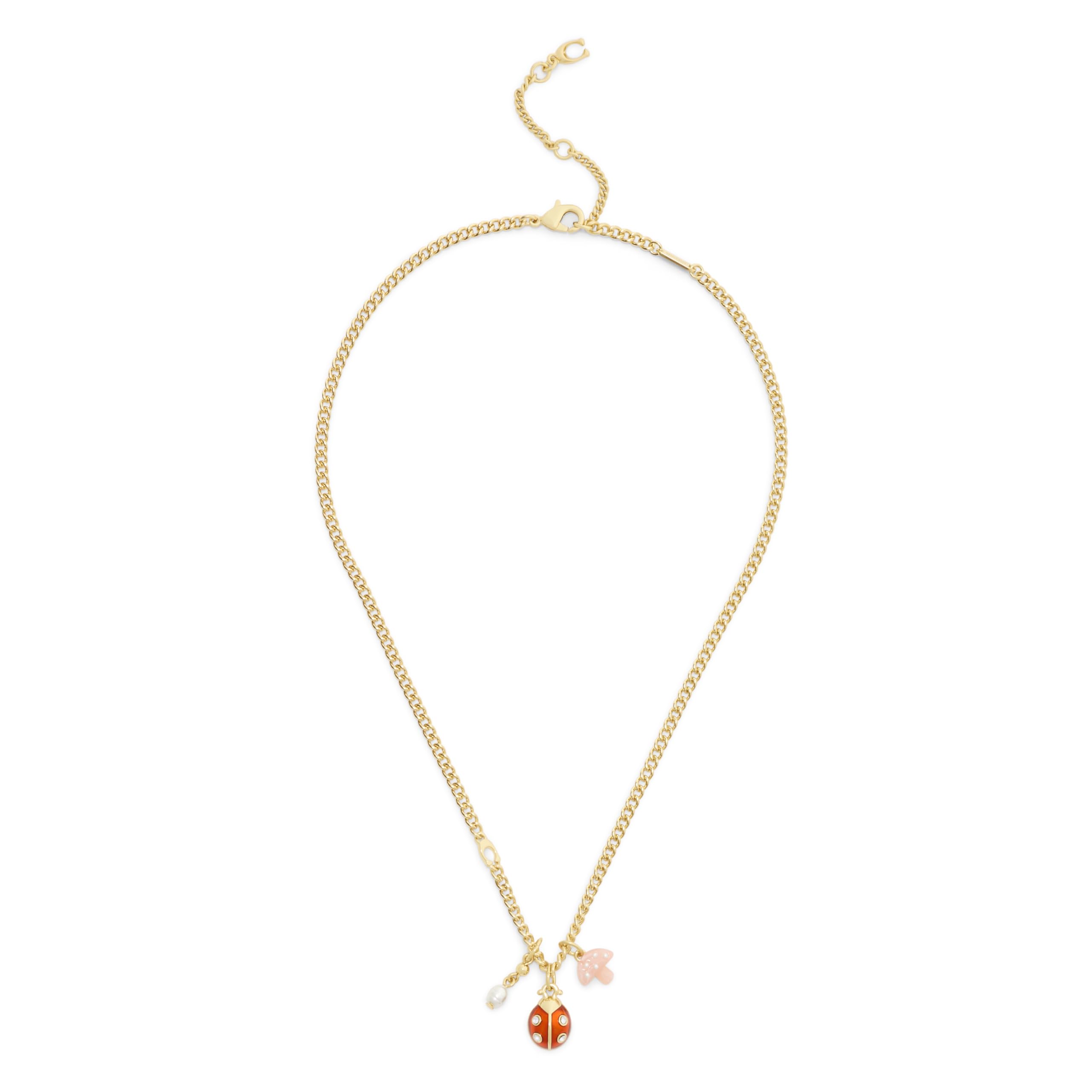Amazon.co.jp: COACH Jewelry レディース シグネチャー てんとう虫