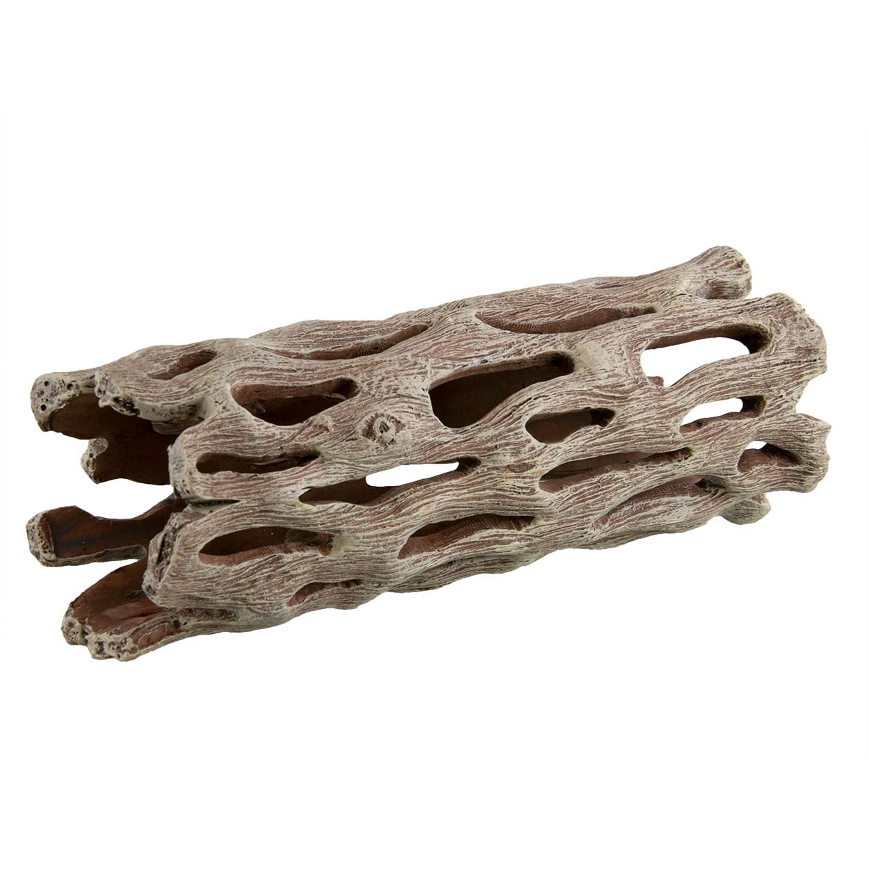 Underwater Treasures Cholla Wood - Medium