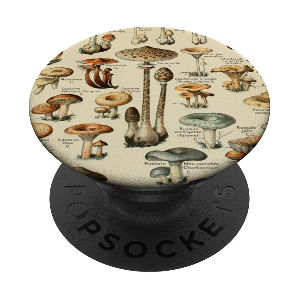 Vintage Mushrooms Botanical Scientific Illustration PopSockets Adhesive PopGrip