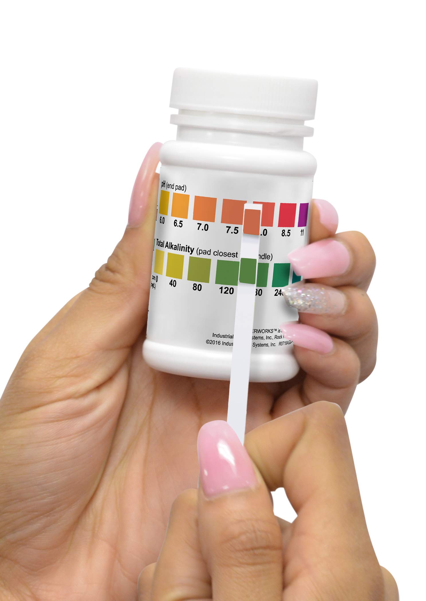 ITS Europe Waterworks 480005 Lot de 50 bandelettes de test pH et alcalinité totale