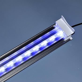 Amazon | ゼンスイ LED PLUS シャイニングブルー 45cm