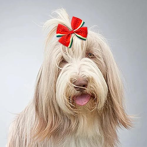 Miniatura 6 de JpGdn 24 piezas12 pares 10 cm Lazos para el pelo de perro grande con fruta de verano para perros de raza grande Bandas elásticas Lazo de pelo de