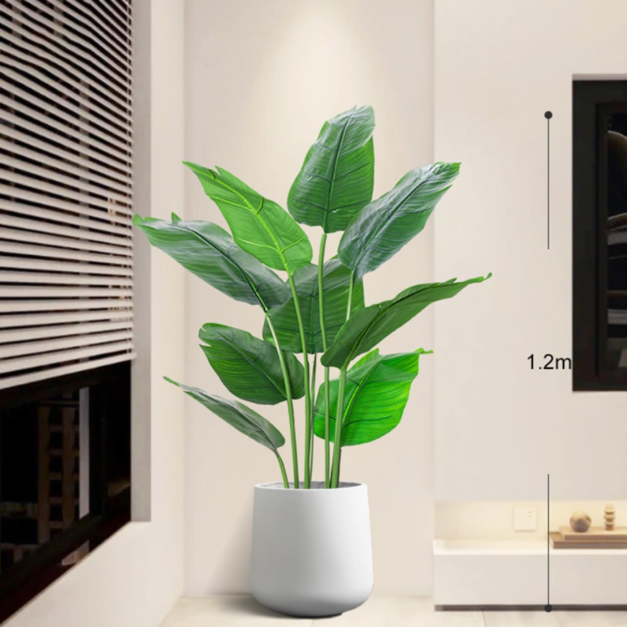 斑入りバナナ　中型観葉植物 緑白ストライプ 激レア】多くのレア斑入りバナナをもつコレクター「ナツⅡ」さん