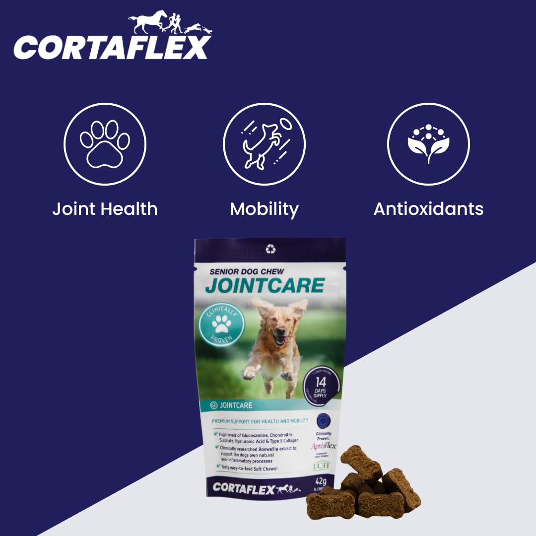 Cortaflex Senior Dog Chews (Contains 60 Chews) Supports Hip And Joint Mobility. Supplements For Dogs. Contains Chondroitin and Glucosamine. Dog Joint Support For Senior Dogs - Image 2