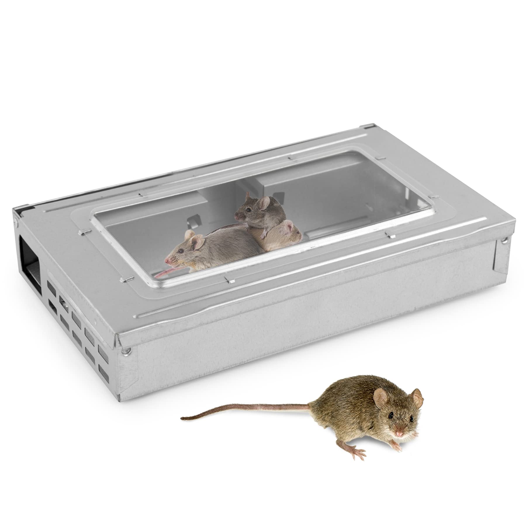 KCT Humane Multi-Catch Mouse Trap
