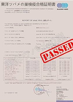 Amazon.co.jp: 【東洋ツバメの巣】「高級三角燕」 自社正規輸入