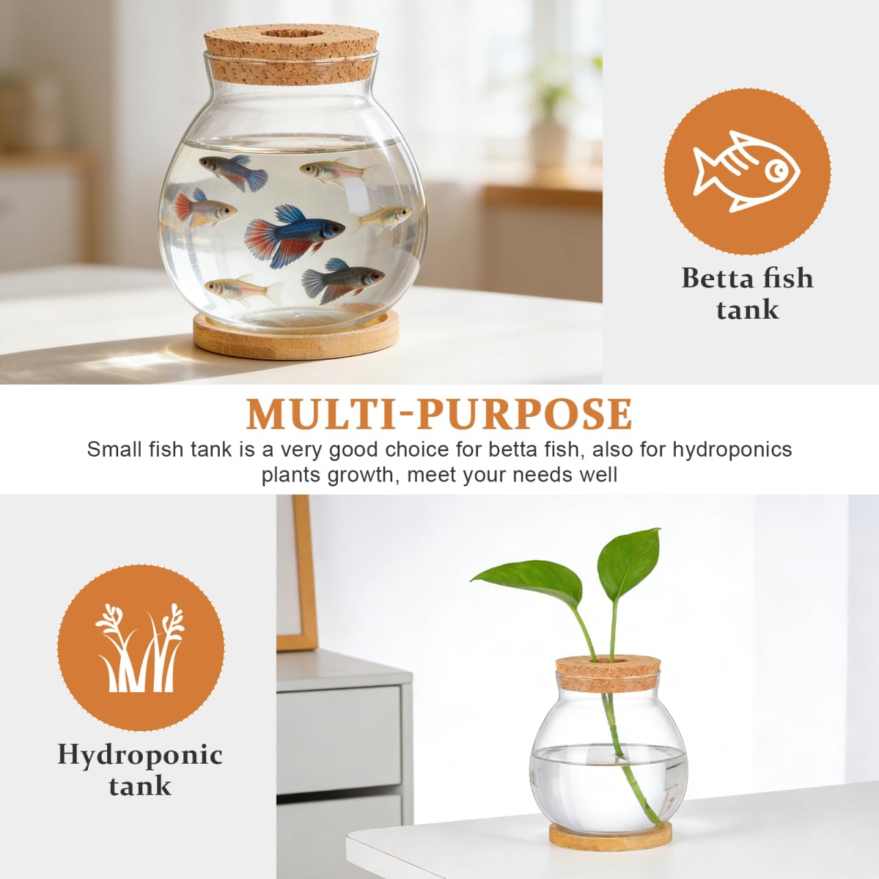Aquarium hydroponique de bureau avec base en verre Betta Aquarium décoratif pour plantes pour la décoration