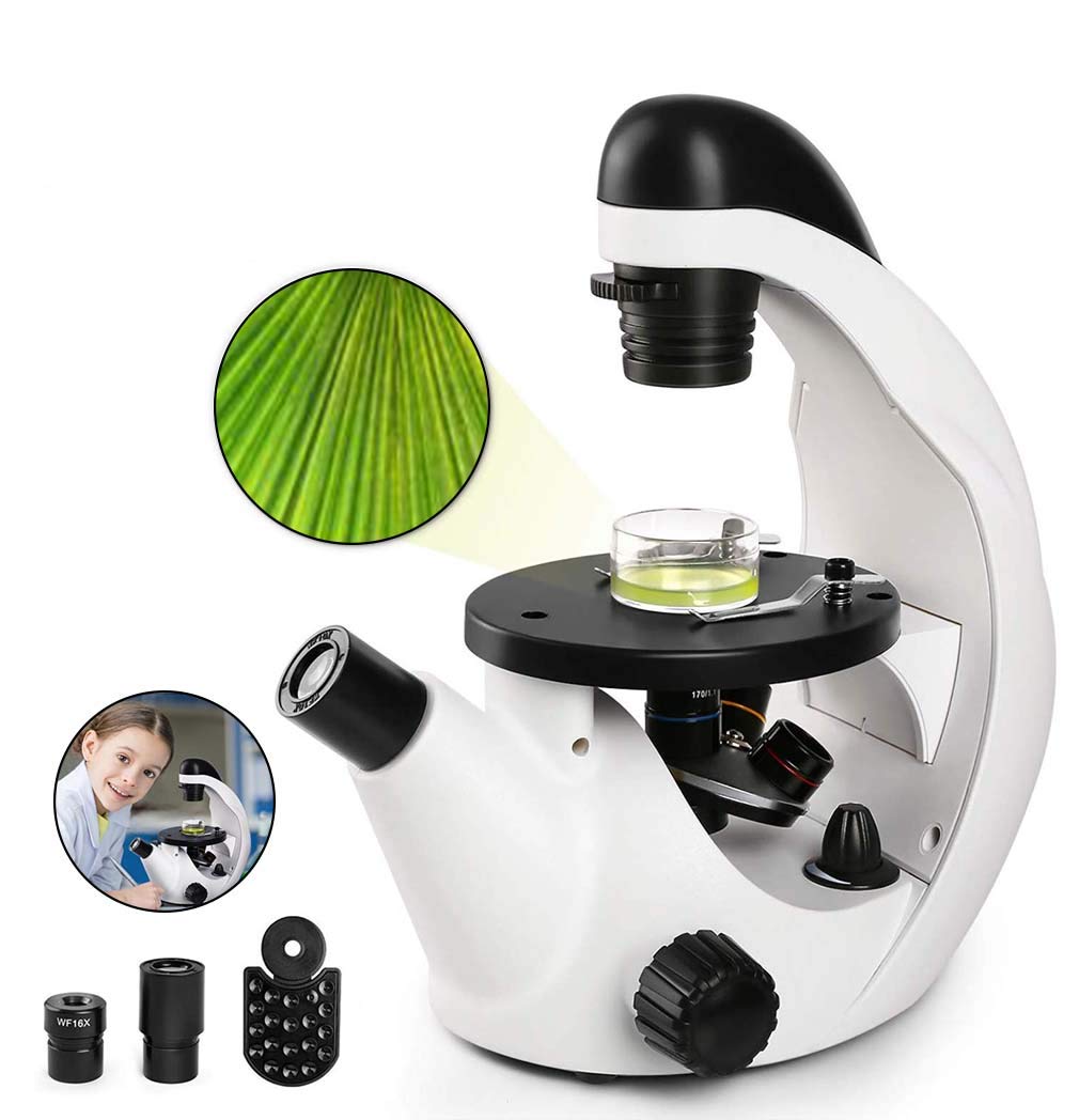 Buy HWUKONG Biological Micro, Inverted Micro 40X320X Used in