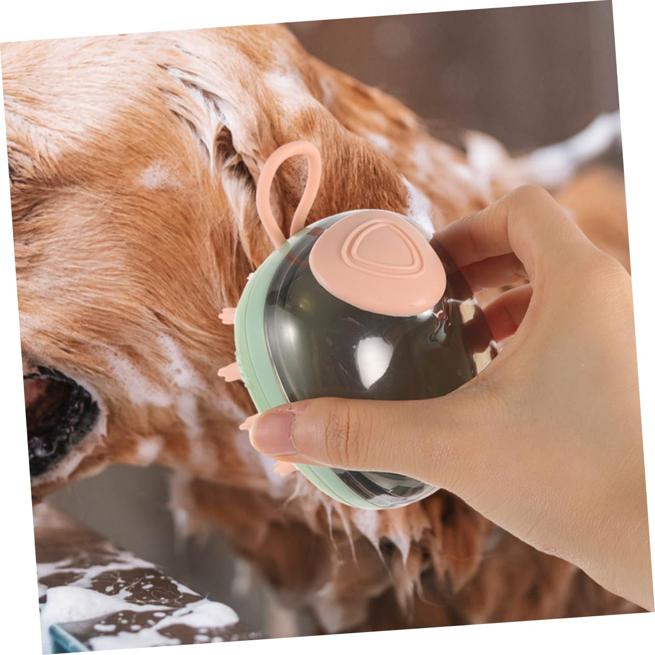 INOOMP 5piezas Cepillo Para Herramienta De Limpieza y Masaje Para y Gatos Cepillo Ergonómico De Para Gatos y Animales