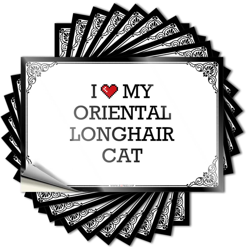 Space Bumper Bumper | I Love My Oriental Longhair Cat Autumn Durable Vinyl Sticker Easy Apply for Farmers(6X9CM)