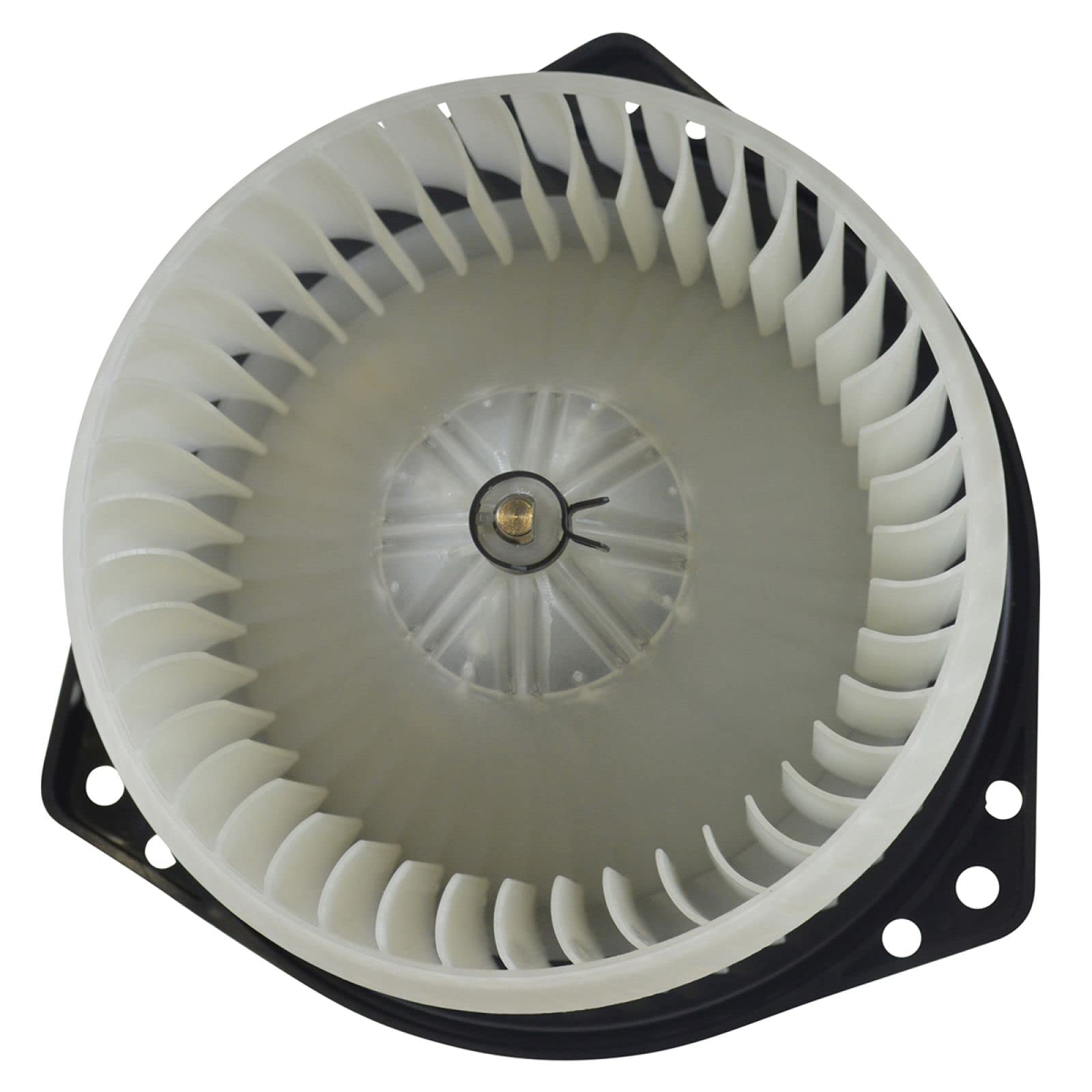 TRQ Heater Blower Motor w/Fan Cage