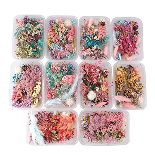 ADHG Aléatoire 1 boîte Plus de 8 Styles de mélange de Fleurs pressées séchées Feuilles sèches Plantes pour Nail Art décors Fabrication de Bijoux Accessoires de Bricolage Cover