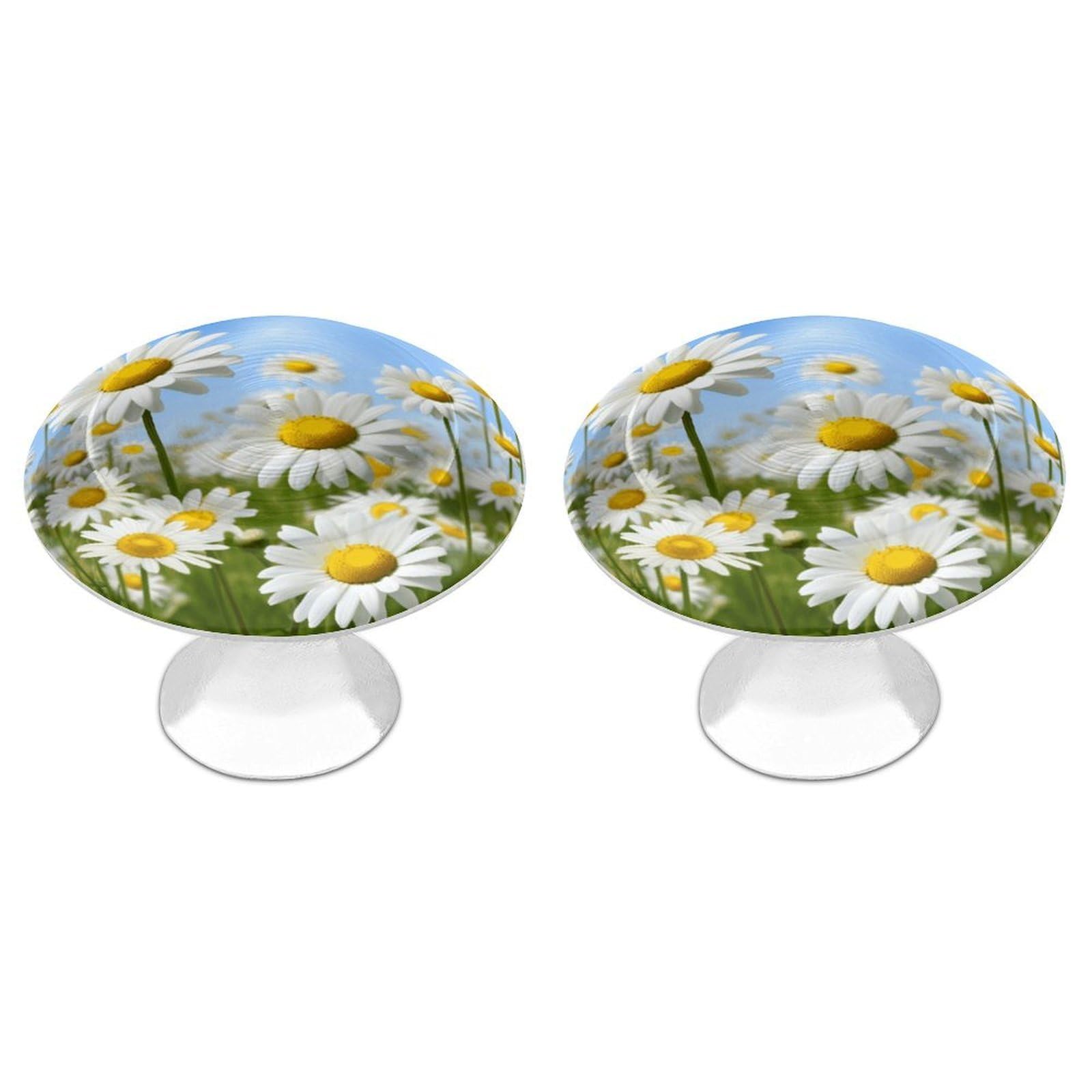FekiLoot Spring Daisy Flowers Cabinet Knob Kitchen Drawer Knob Stainless Steel Round Drawer Pulls Modern Cabinet Hardware Vintage Dresser Drawer for Kitchen Bathroom Closet Dresser Cabinets