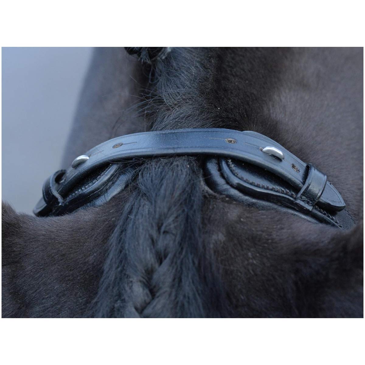 Busse William Hunter Equestrian Emotion - Brida para caballo (cristal), color negro y blanco