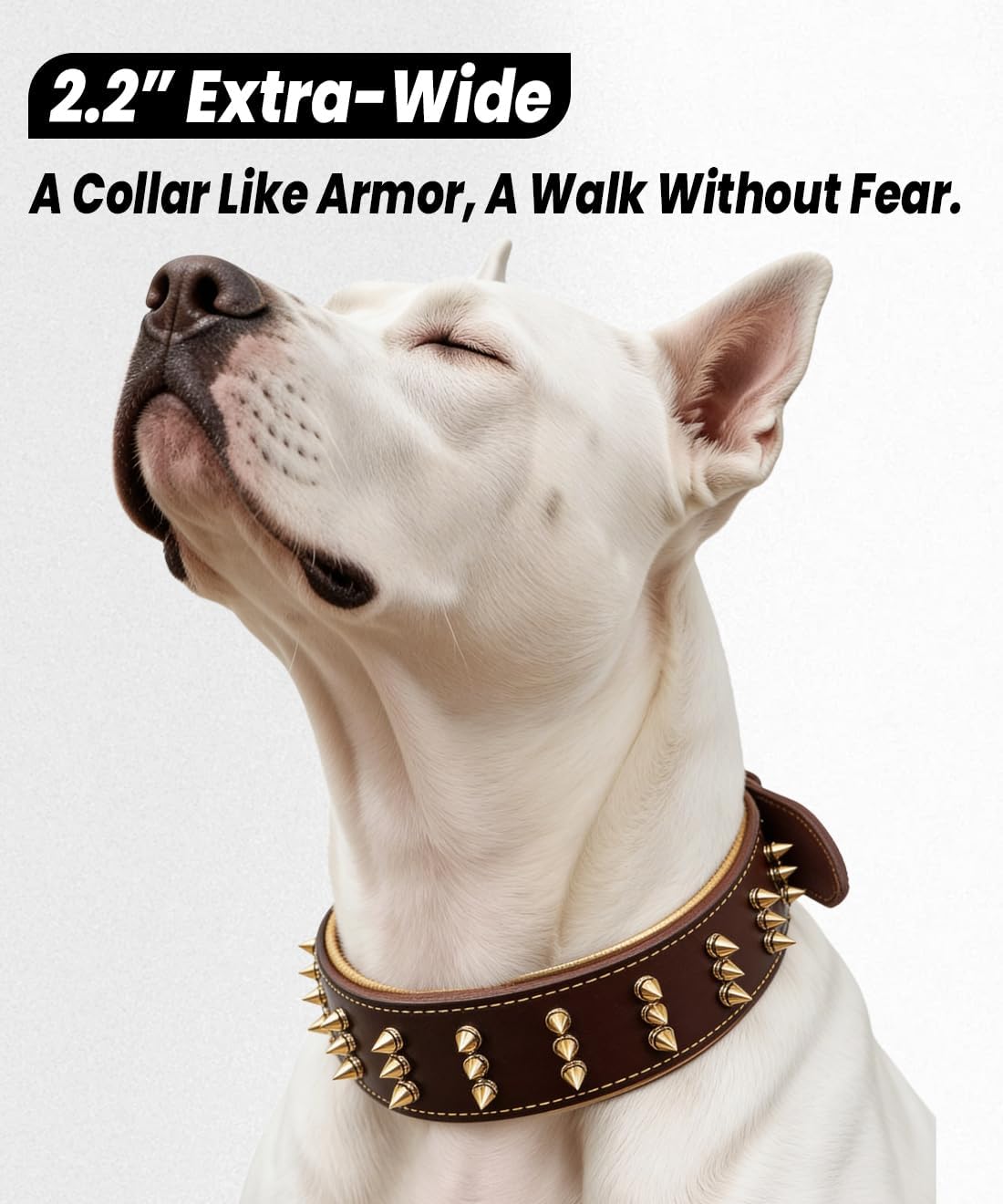Spiked Leather Dog Collar – Premium Handmade Genuine Leather, 2.2-Inch Wide, Bold Protection and Stylish Design, Ideal for Powerful Breeds-Golden Brown 20.5-24.5 inches