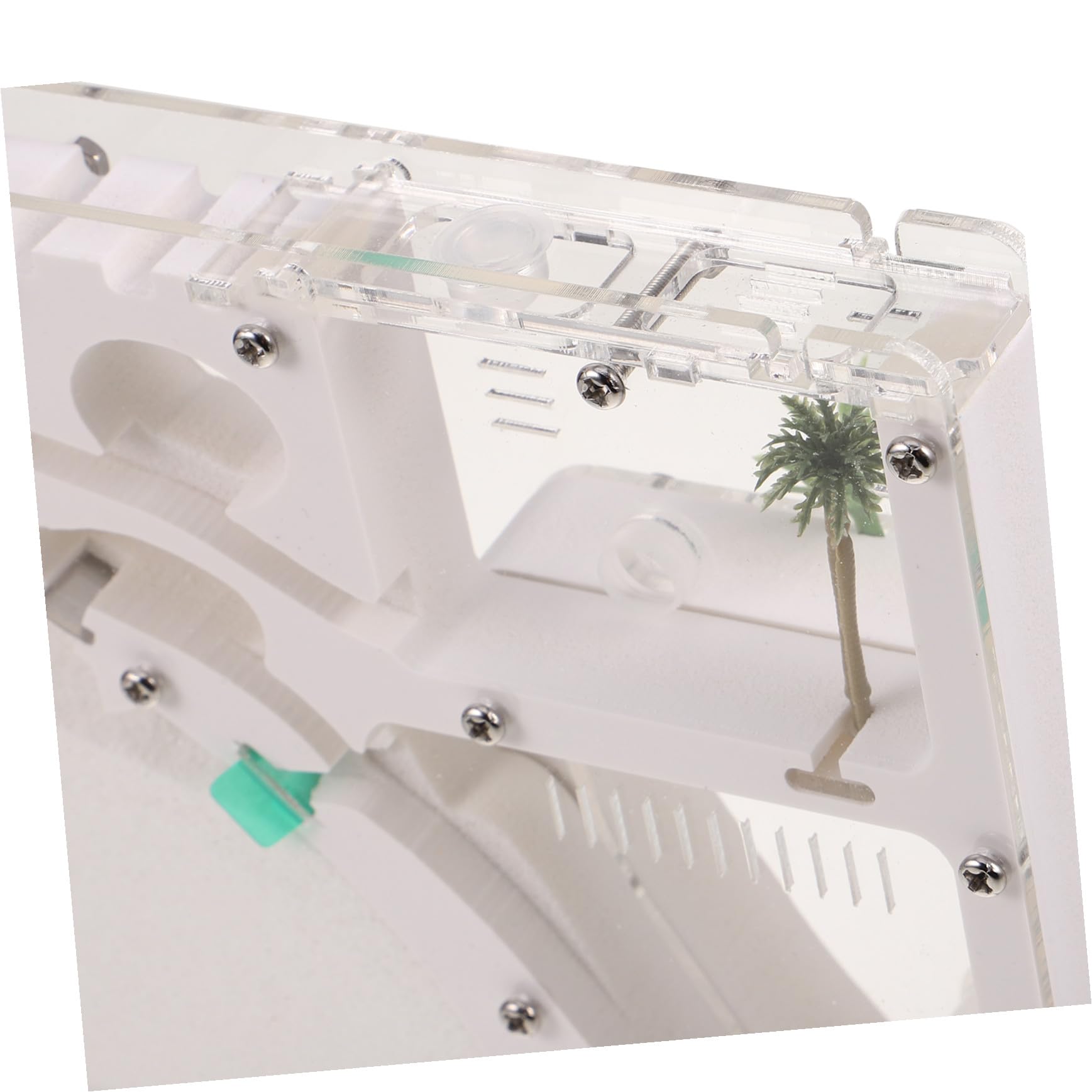 BESPORTBLE Juguetes Ecoeducativos para Exploración al Aire Kit de Terrario y Hormiguero Recinto para Insectos Caja de Observación para Educación y Aprendizaje Interiores