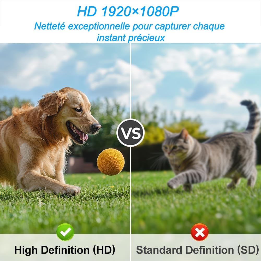 Caméra Magnétique Portable pour Animaux HD 1080p 120° APP Enregistrement Cyclique