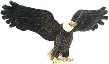 2個セットAmerican Eagle REAL 50mL リアル 2個セットAmerican Eagle REAL 50mL リアル 2個セットAmerican Eagle