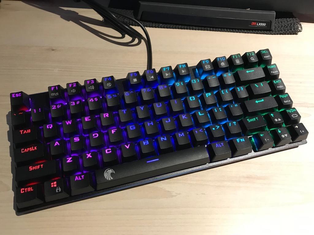 Loves the clicks, and loves the lights!