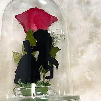 美女と野獣　プリザーブドフラワー　非売品　薔薇 Amazon.co.jp: 日比谷花壇 薔薇 プリザーブドフラワー 美女と