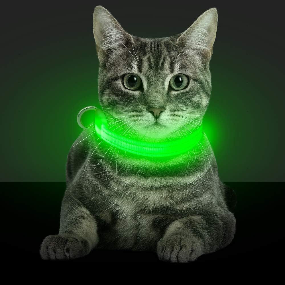 BSEEN Collar de Perro LED, Recargable por USB, Collar para Perros pequeños, Collar de Seguridad Brillante para Gatos con cincha de Nailon Ajustable de Alta Visibilidad para Perros y Gatos