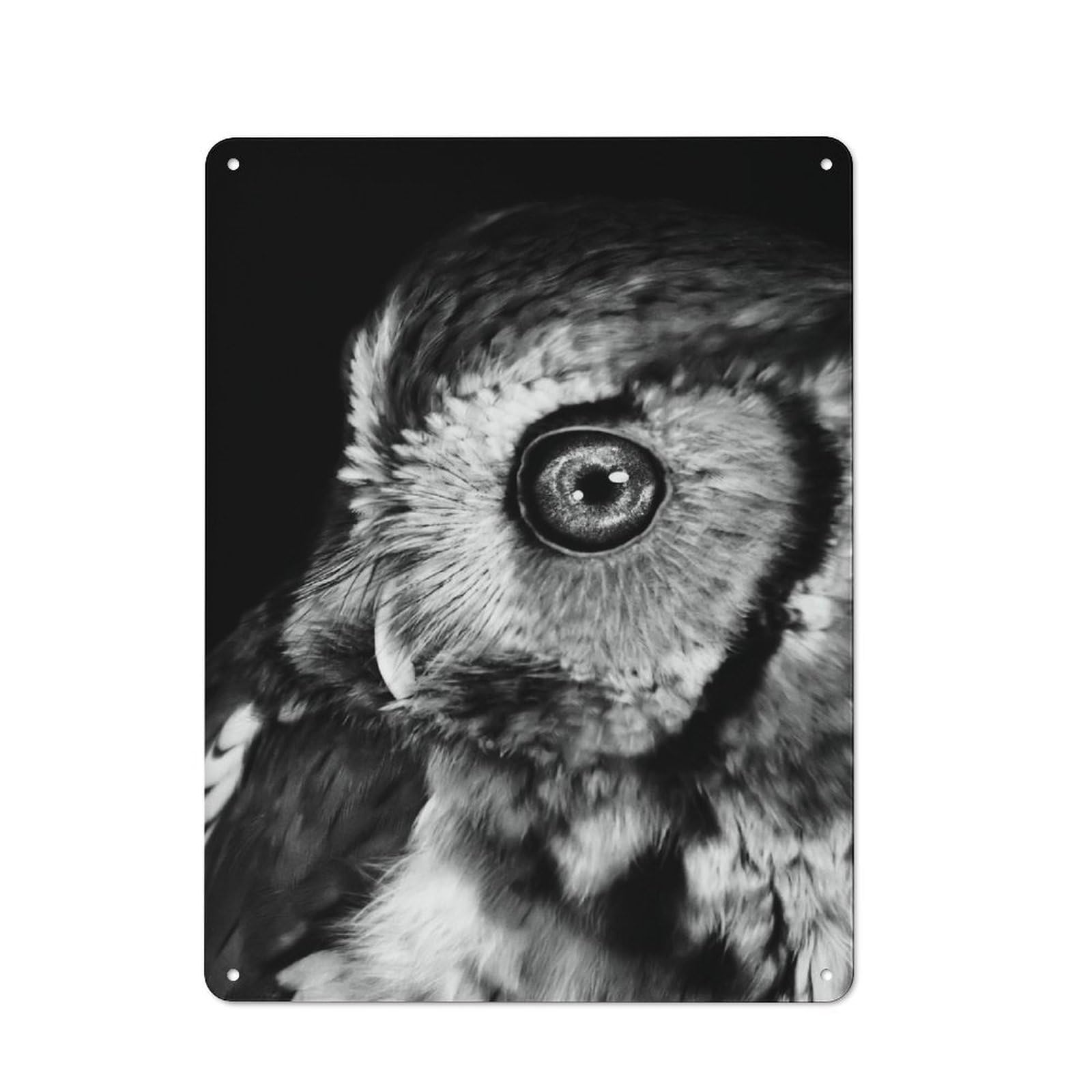 Junmoney Style-13 Metal Plaque 40X30cm With Owl With Galaxy For Hallway Wall, Rustic Decor, A Metal Wall Feature For Hallways And Entrance Areas