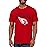 Junk Food Clothing x NFL - Arizona Cardinals - Bold Logo - Unisex Adult Short Sleeve Fan T-Shirt for Men and Women - Size 3X-Large