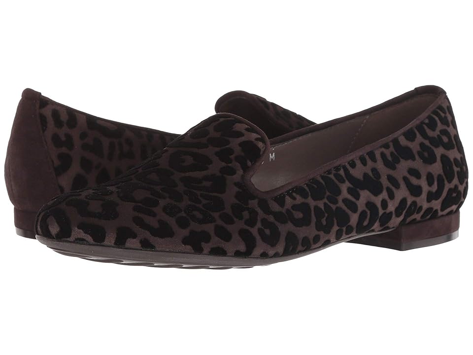 

Sesto Meucci Kinnie (Tmoro Manaus/Tmoro Suede) Women's Shoes