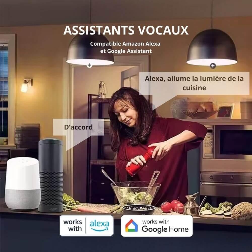 ZenGO Pack 4 Ampoule connectée WIFI LED E27 14W, 1500lm, Multicolore, 2700K-6500K, Compatible Alexa, Google Home, SmartLife et Tuya