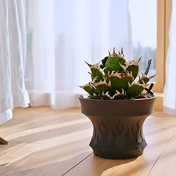 Amazon.co.jp: 【Flame】3Dプリンター製植木鉢 アガベ、塊根植物向け高