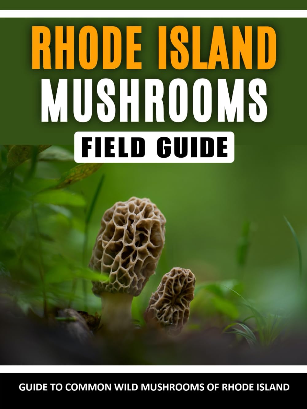 Mushrooms of Rhode Island Identification Field Guide to Common Wild Mushrooms in the East Coast