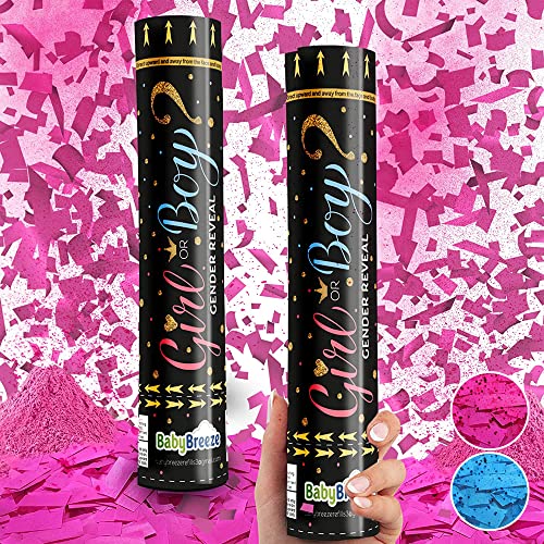 Gender Reveal Confetti Powder Cannon - Biodegradable Blue & Pink Poppers for Baby Shower Party Decorations - He or She What Will it Bee - 2 Pink Sticks