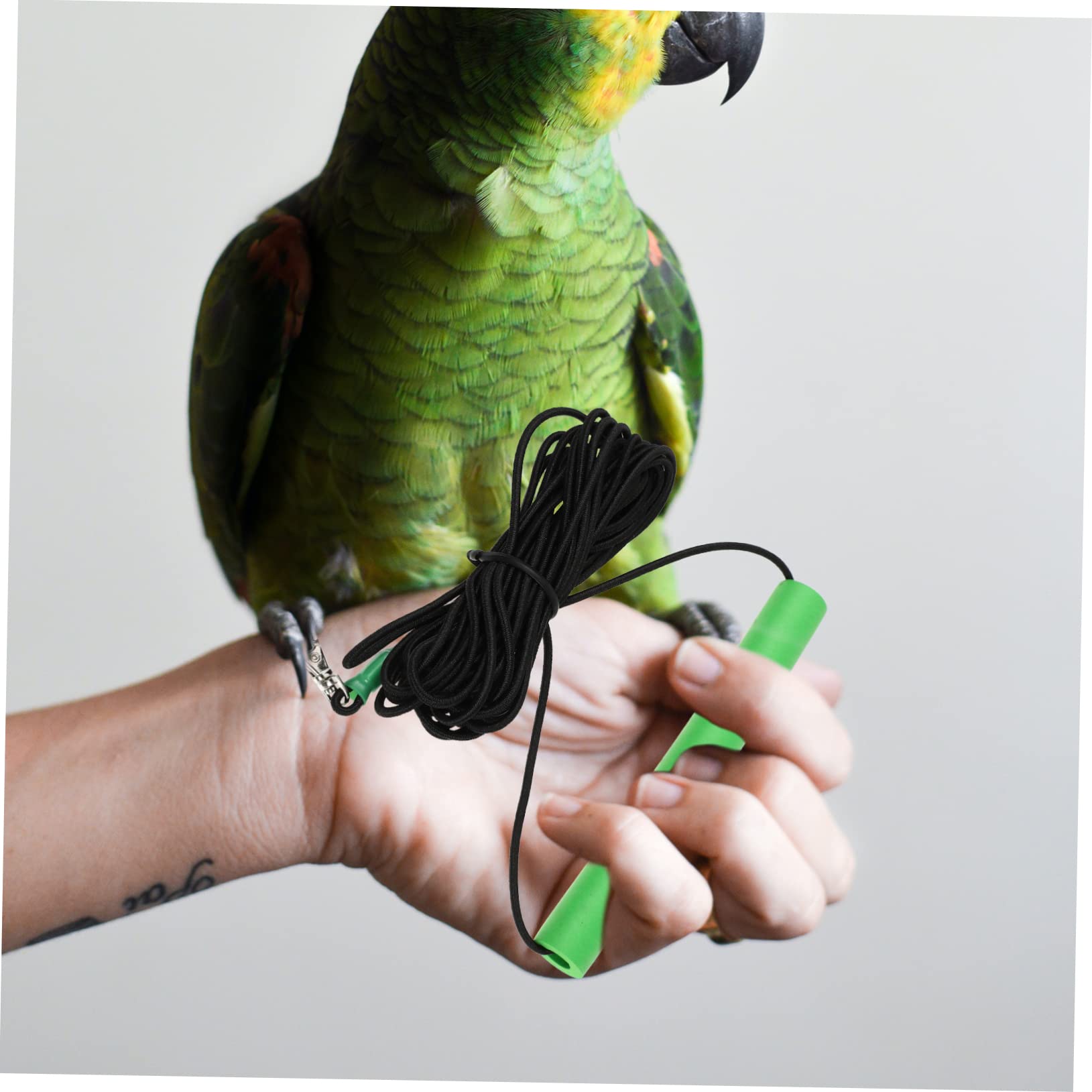 BESPORTBLE 2 Correas De Entrenamiento para Loros Y Pájaros Voladores Ideales para Exteriores.