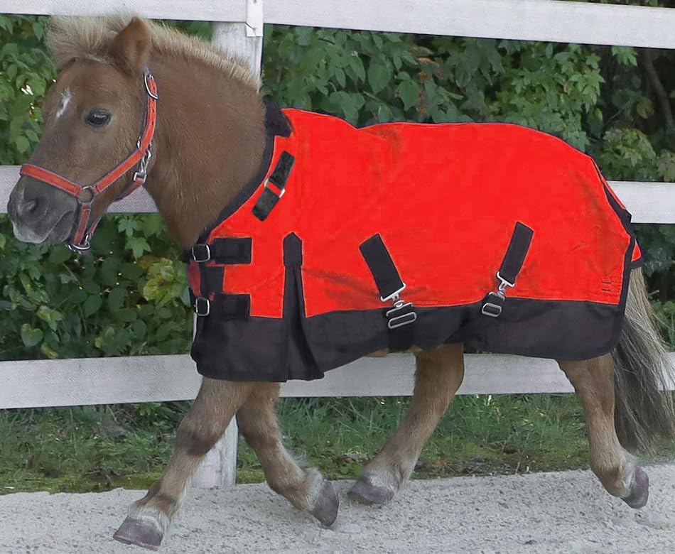 Mini/Pony 1200 Denier Adjustable Neck Waterproof Turnout Blanket - 300 Grams Fill
