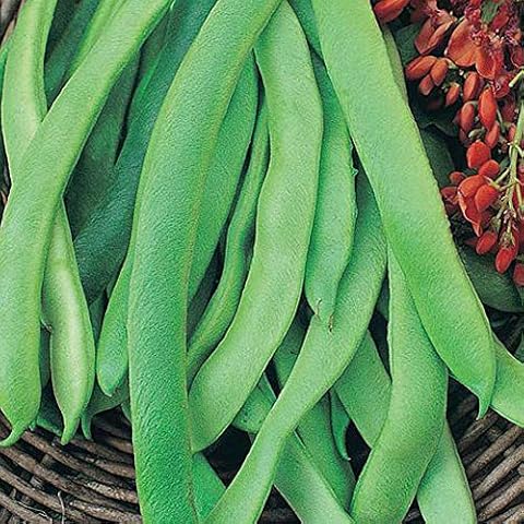 Runner Bean Prizewinner Seeds by Thompson & Morgan Cover