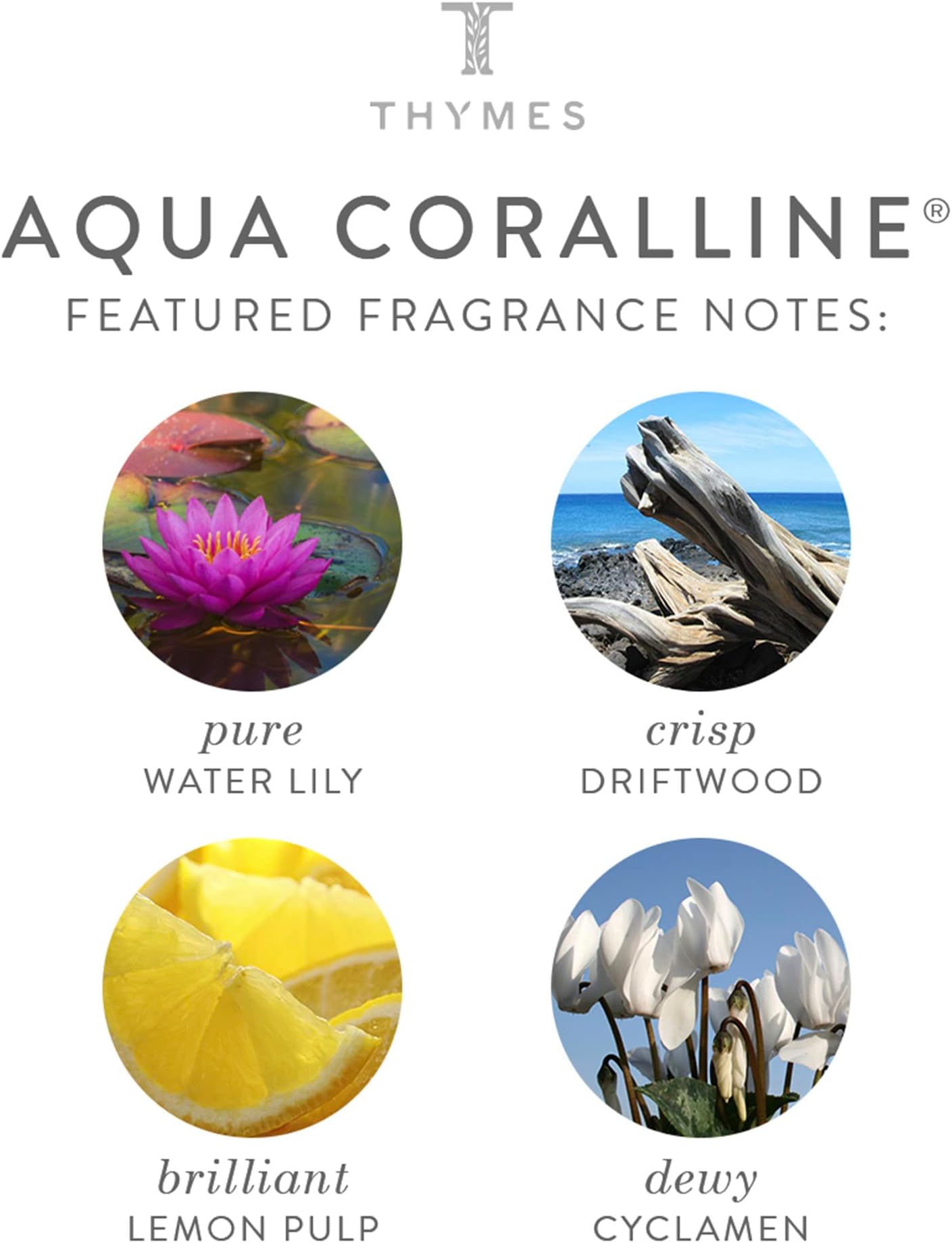 Thymes - Aqua Coralline Home Fragrance Mist - Relaxing Beach Scented Room Spray - 3 oz