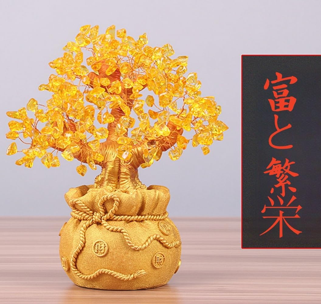 Amazon.co.jp: 金のなる木盆栽 招財樹 風水木 幸運の木 金のなる木宝石