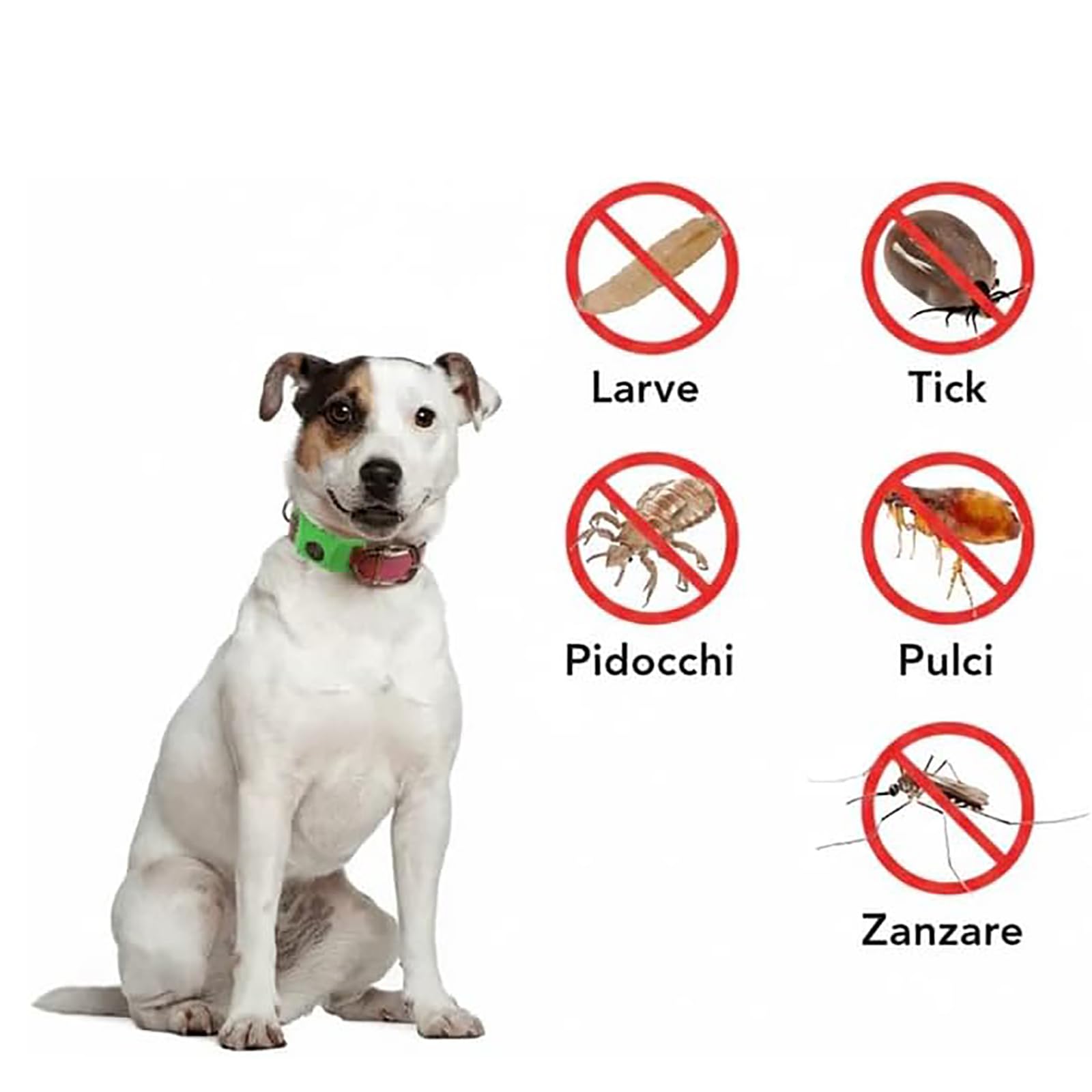 ZVD Collare Antiparassitario Naturale,Collari Antiparassitari per Cani,Ciondolo Repellente per Pulci e Zecche per Cani,Ingredienti 100% Naturali,Protegge da Pulci e Zecche (Grigio)