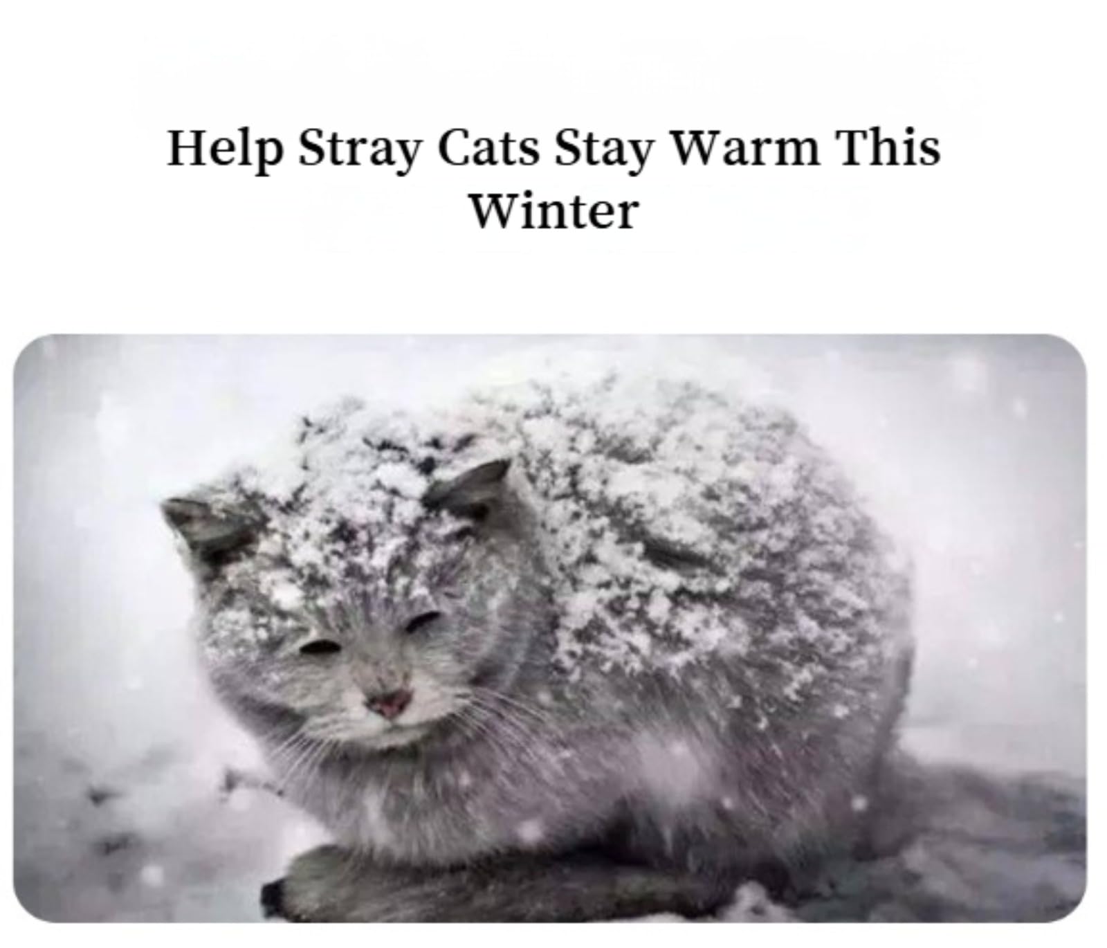 Cuccia Gatto Esterno Sollevata 7 cm, Abitacolo Impermeabile Antiumidità con Tetto Inclinato Drenante, Casetta Isolata per Gatti Randagi in Giardino, Ideale Autunno Inverno