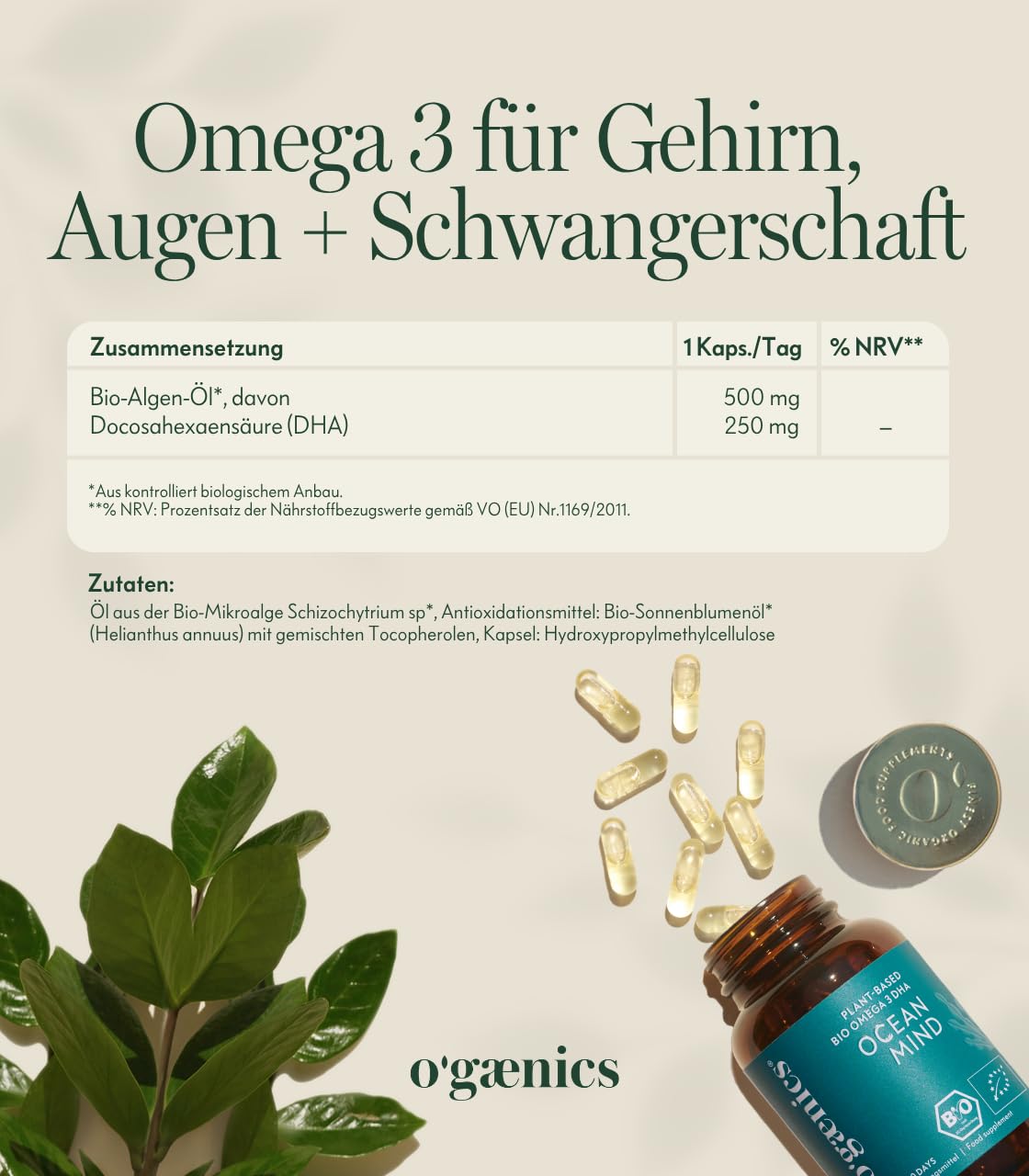 Ogaenics OCEAN MIND Bio Omega 3 DHA Kapseln aus Algen – 250 mg DHA pro Kapsel – veganes Algenöl als Alternative zu Fischöl – für Gehirn, Sehkraft, Schwangerschaft und Stillzeit - 60 Kapseln