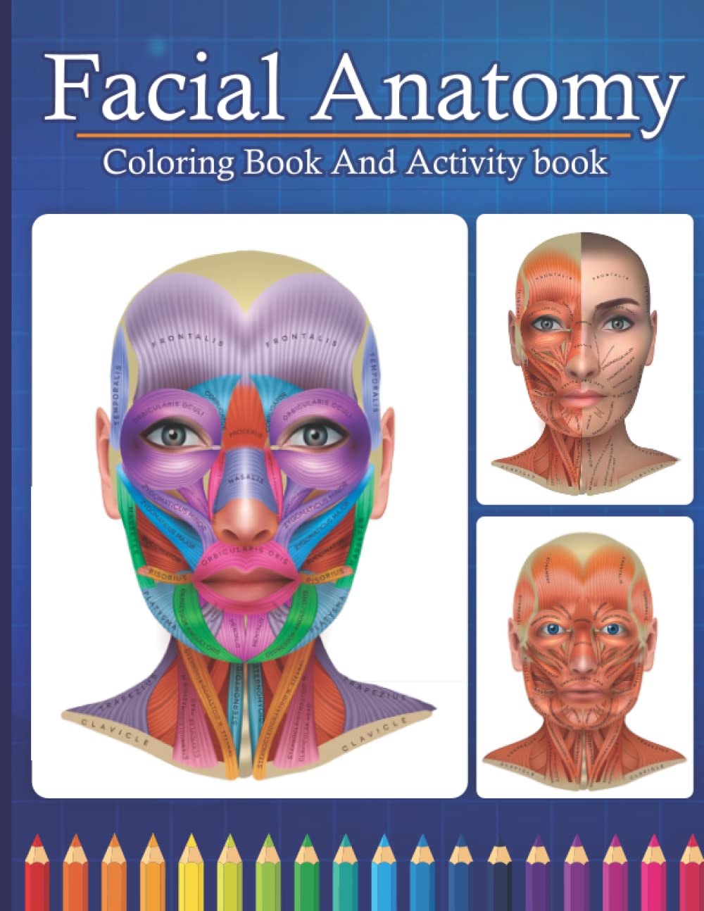 Buy Facial Anatomy Coloring Book And Activity Book A Coloring Book To